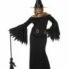 Womens Plus Size Elegant Witch Costume -Classic Horror Sales 01642CC