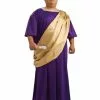 Plus Size Deluxe Caesar Mens Costume