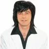70's Shag Wig (Black) -Classic Horror Sales 21629