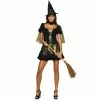 Wizard Of Oz Sexy Wicked Witch Of The West Adult Costume -Classic Horror Sales 31414