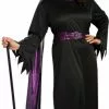 Plus Size Witch Costume