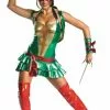 Raphael Ninja Turtle Costume -Classic Horror Sales 492 768 dg11792
