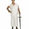 Toga Plus Size Costume For Adults