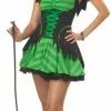 Hocus Pocus Adult Costume -Classic Horror Sales 69095