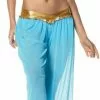 Arabian Princess Adult Costume -Classic Horror Sales 70840