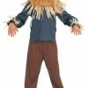 The Wizard Of Oz Scarecrow Child Costume -Classic Horror Sales 7659