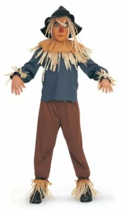 The Wizard Of Oz Scarecrow Child Costume
