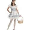 Storybook Sweetheart Costume For Tween -Classic Horror Sales CC04006