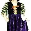Fairy Tale Witch Toddler Costume -Classic Horror Sales FW1454n