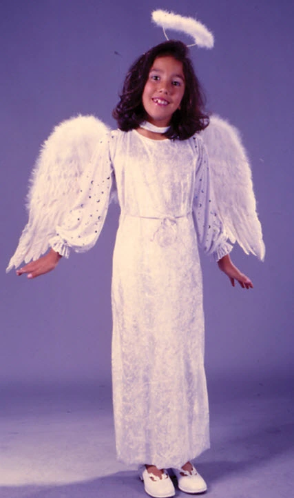 Velvet Angel Of Light Child Costume 3 Velvet Angel Of Light Child Costume