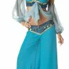Harems Jewel Adult Costume 1 Harems Jewel Adult Costume -Classic Horror Sales ic3035f